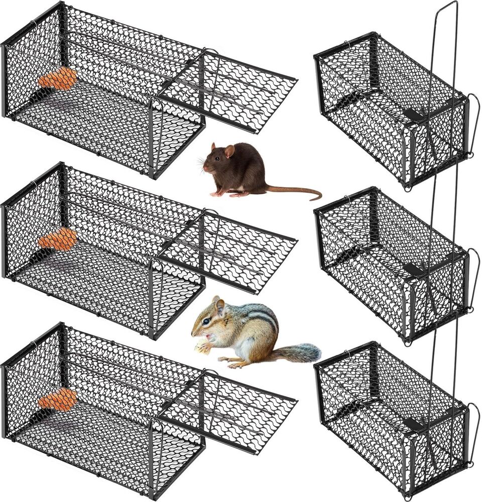 6 Pcs Humane Rat Trap Chipmunk Rodent Mouse Squirrel Trap 9.1 x 4.5 x 4